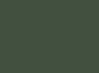 Металлочерепица Adamante RR11 - Темно-зеленый